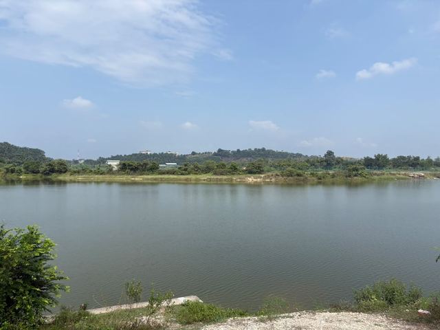 The lake under a clear sky, with low green banks
